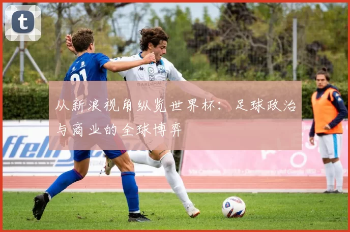 从新浪视角纵览世界杯：足球政治与商业的全球博弈
