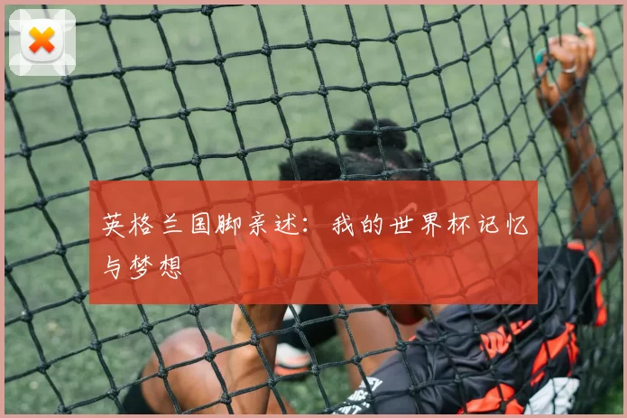 英格兰国脚亲述：我的世界杯记忆与梦想