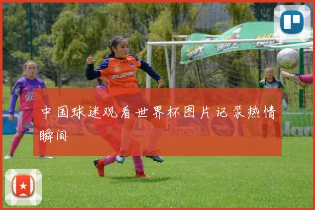 中国球迷观看世界杯图片记录热情瞬间
