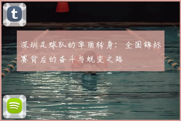 深圳足球队的华丽转身：全国锦标赛背后的奋斗与蜕变之路
