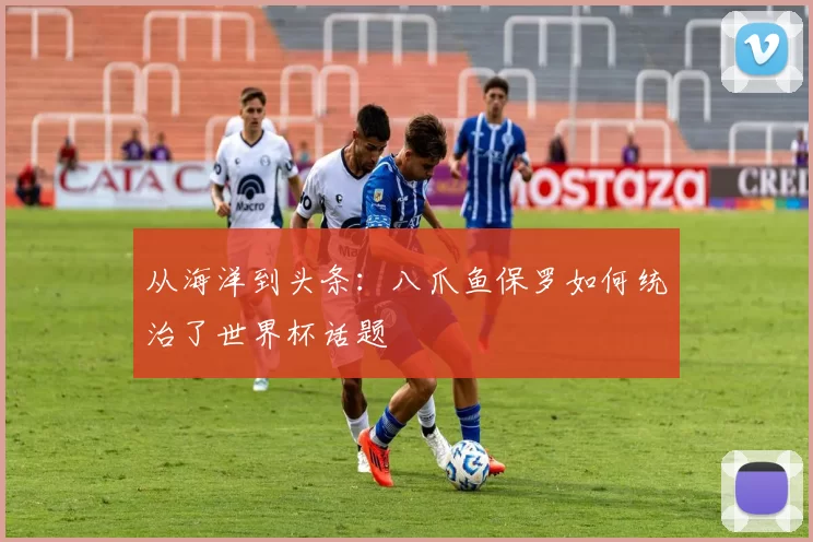 从海洋到头条：八爪鱼保罗如何统治了世界杯话题