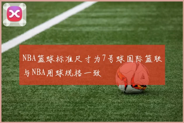 NBA篮球标准尺寸为7号球国际篮联与NBA用球规格一致