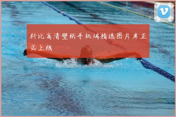 科比高清壁纸手机端精选图片库正式上线