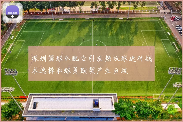 深圳篮球队配合引发热议球迷对战术选择和球员默契产生分歧