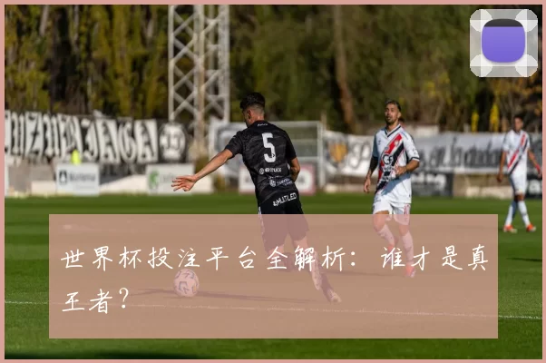 世界杯投注平台全解析：谁才是真王者？