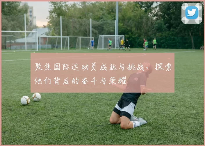 聚焦国际运动员成就与挑战，探索他们背后的奋斗与荣耀