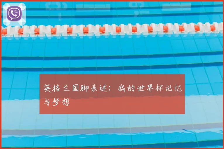 英格兰国脚亲述:我的世界杯记忆与梦想