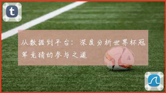从数据到平台:深度分析世界杯冠军竞猜的参与之道