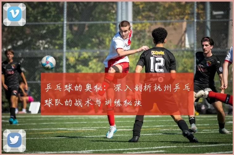 乒乓球的奥秘：深入剖析杭州乒乓球队的战术与训练秘诀