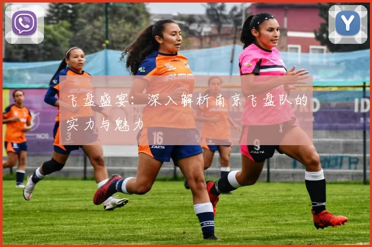 飞盘盛宴:深入解析南京飞盘队的实力与魅力