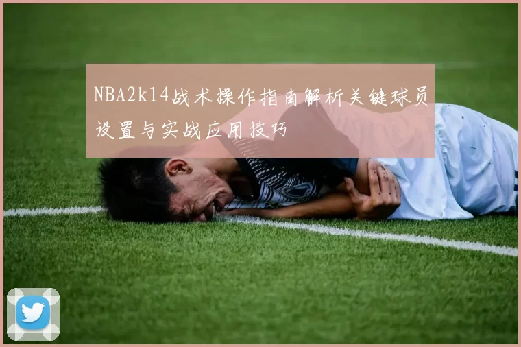 NBA2k14战术操作指南解析关键球员设置与实战应用技巧