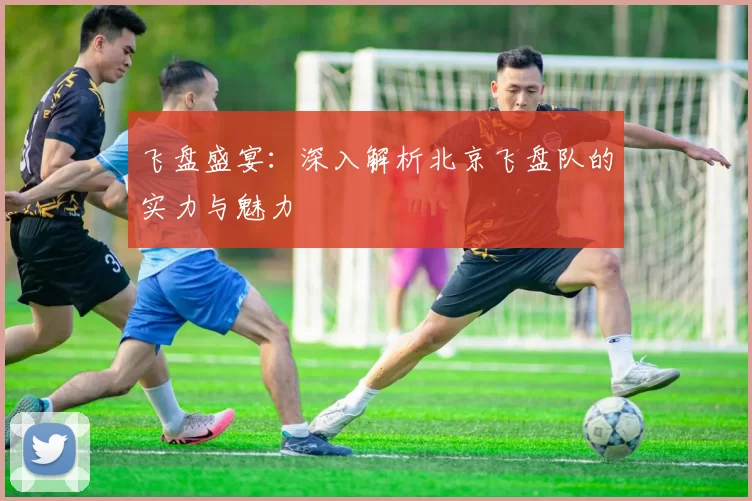 飞盘盛宴：深入解析北京飞盘队的实力与魅力