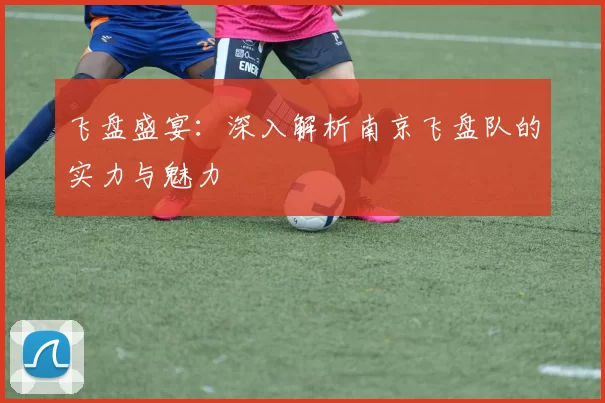 飞盘盛宴：深入解析南京飞盘队的实力与魅力