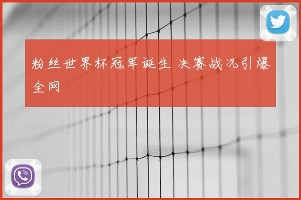 粉丝世界杯冠军诞生 决赛战况引爆全网