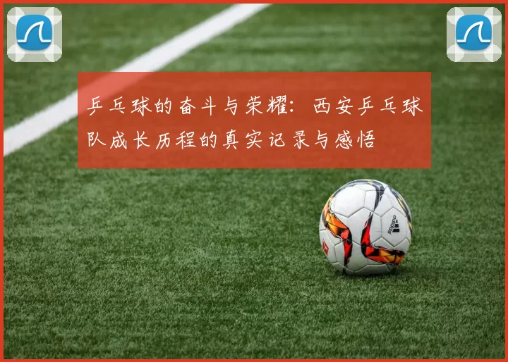 乒乓球的奋斗与荣耀：西安乒乓球队成长历程的真实记录与感悟