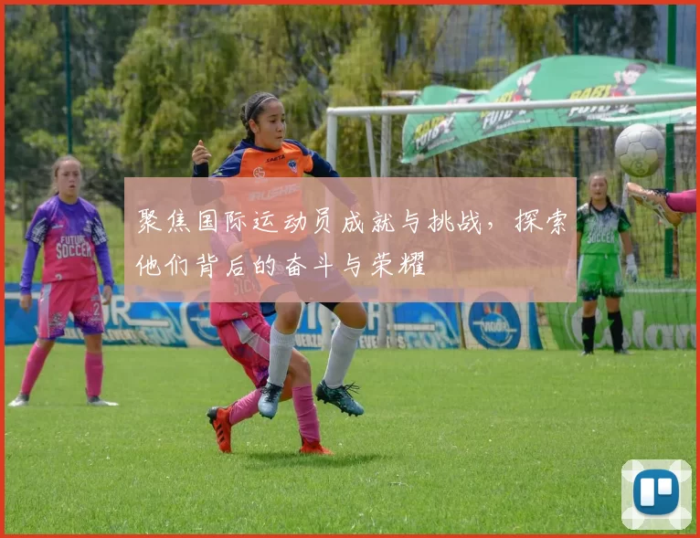 聚焦国际运动员成就与挑战，探索他们背后的奋斗与荣耀